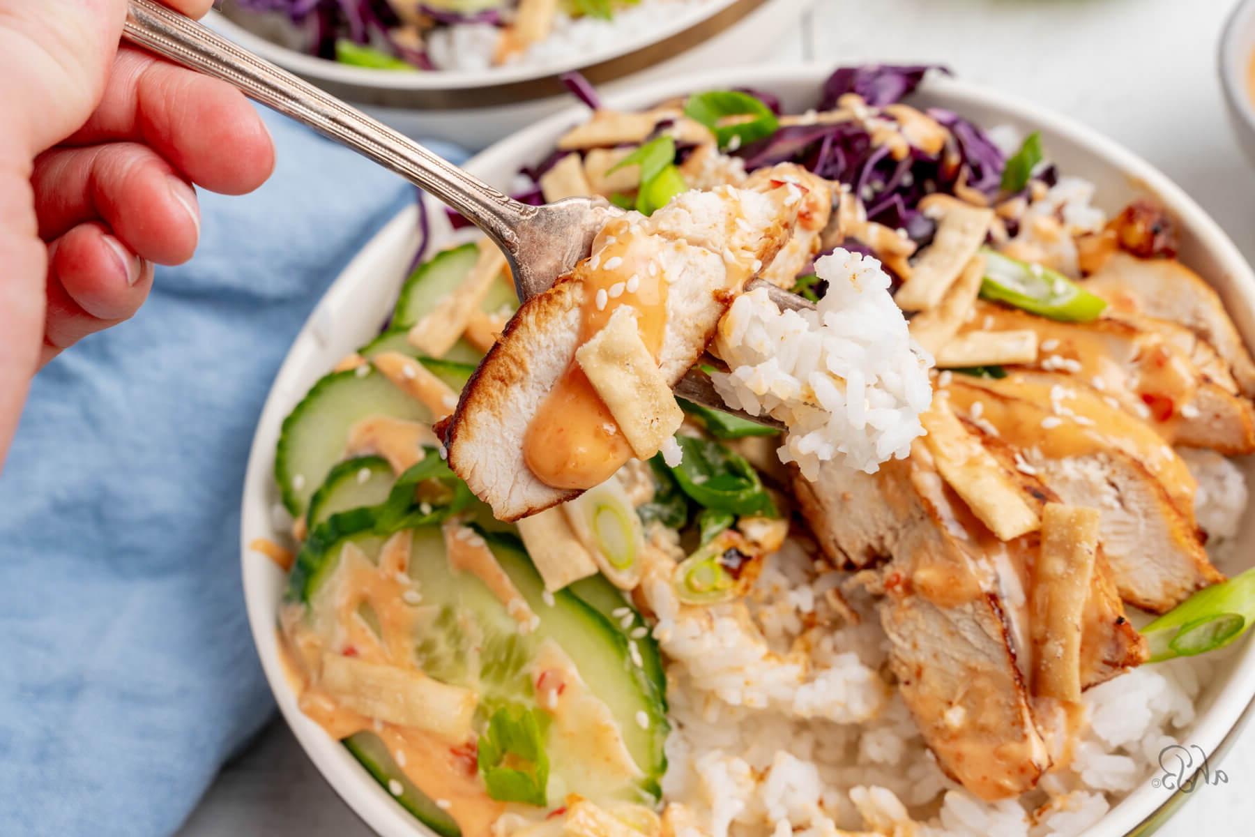 A hand holding a fork, takes a bite of chicken and rice from the bowl.