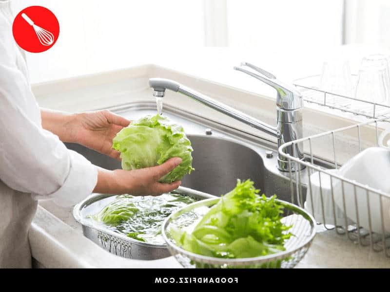 Bugs, worms, aphids and snails can be removed from your lettuce by washing them thoroughly.