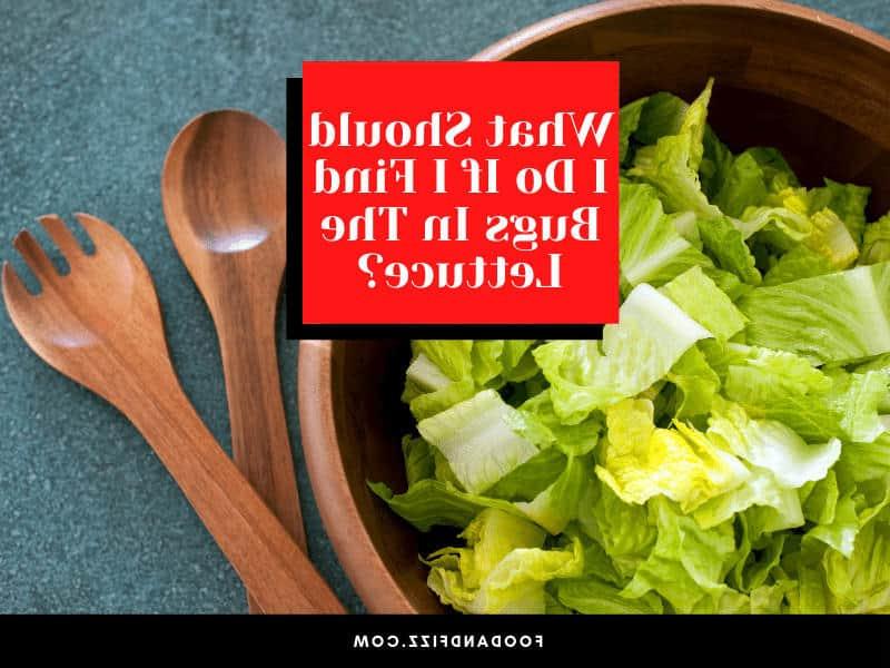 What should I do if I find bugs in lettuce?