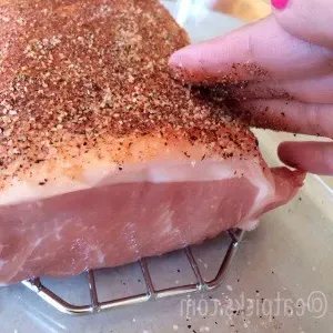 rub spice into mexican pork roast