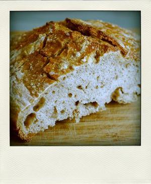 Starter bread